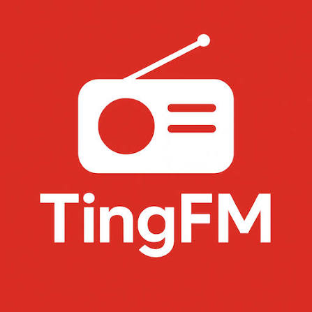 tingfm.com beheerd vanuit China